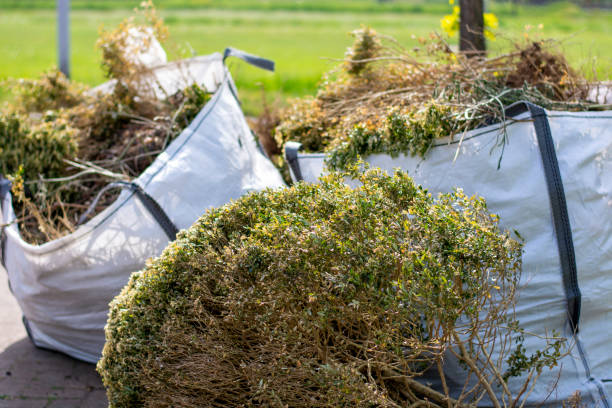 Best Yard Cleanup Services  in Rockwood, VA
